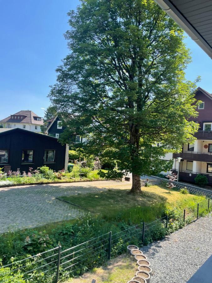 Eastside Braunlage Apartment Bagian luar foto